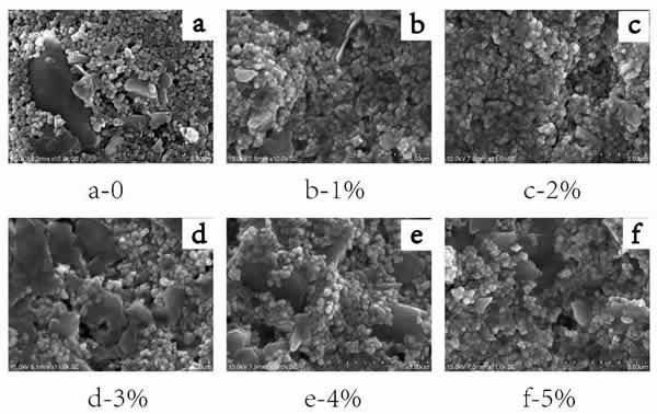 圖8_不同質量分數PMS的無機涂層的SEM圖